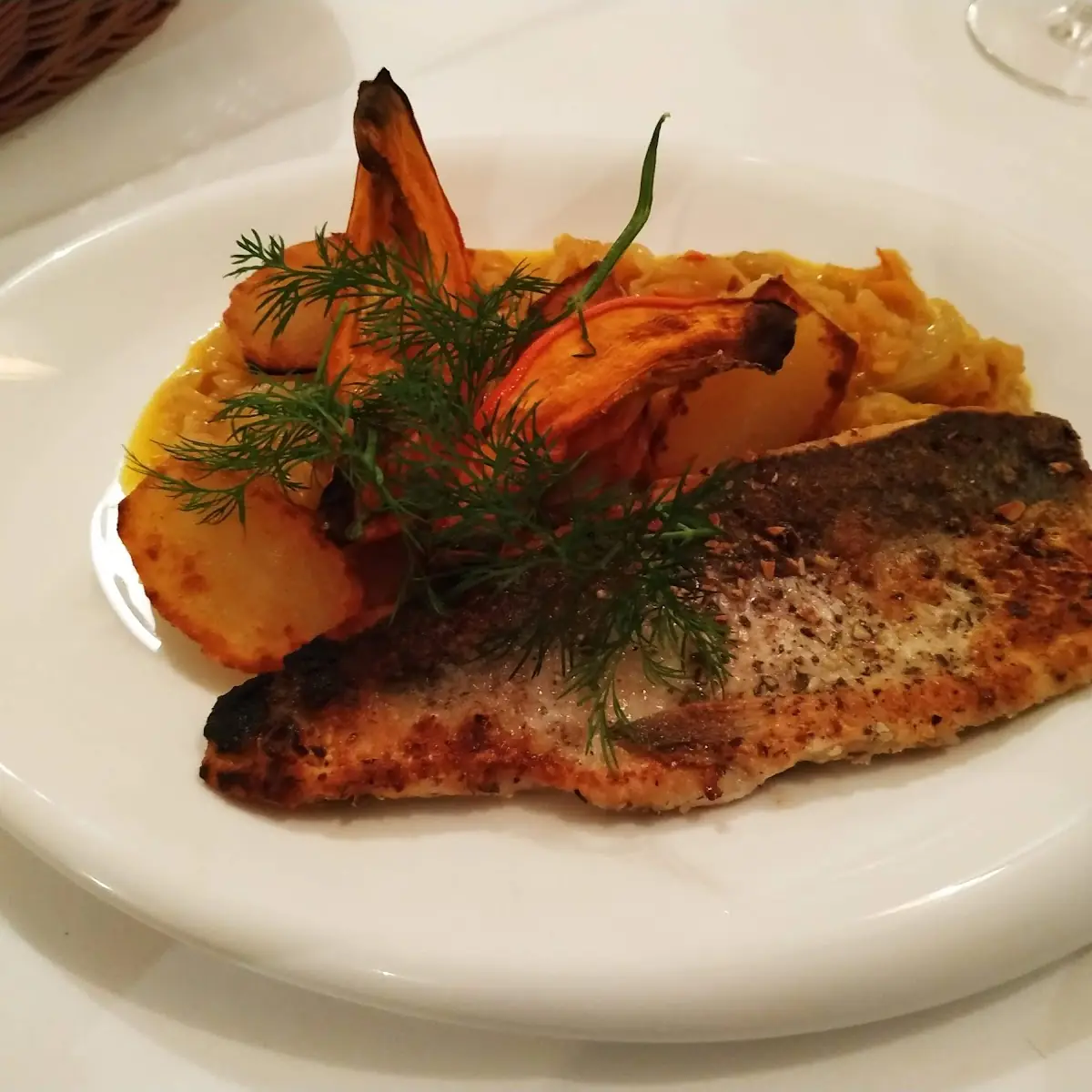 Fish