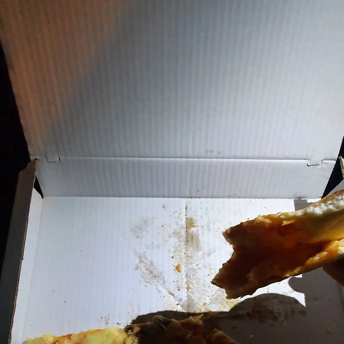 Pizza Funghi