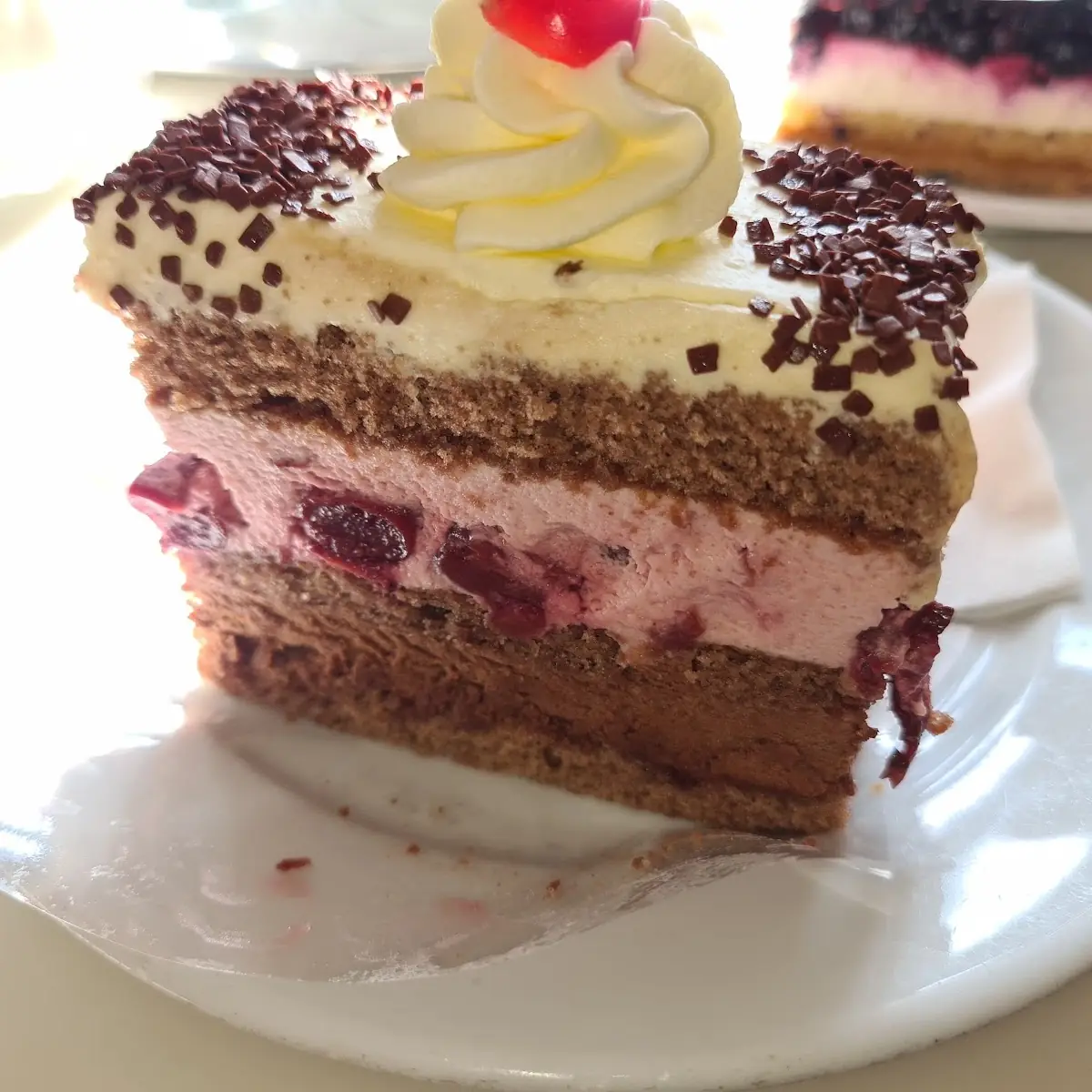 Schwarzwälder-kirschschnitte