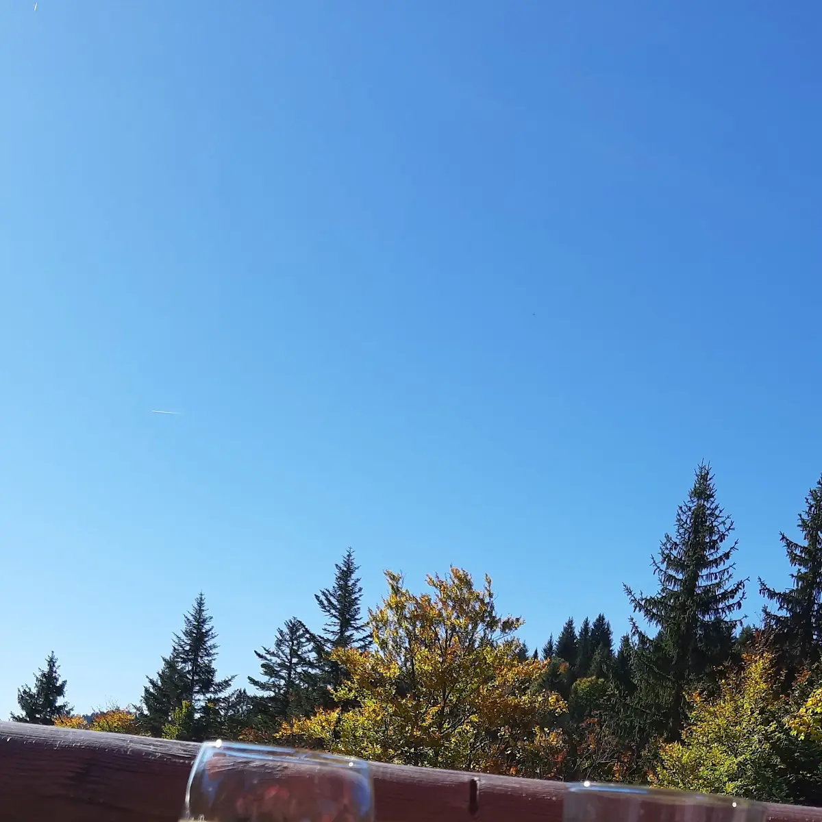Trauben Gepresst U Mit Sprudelwasser