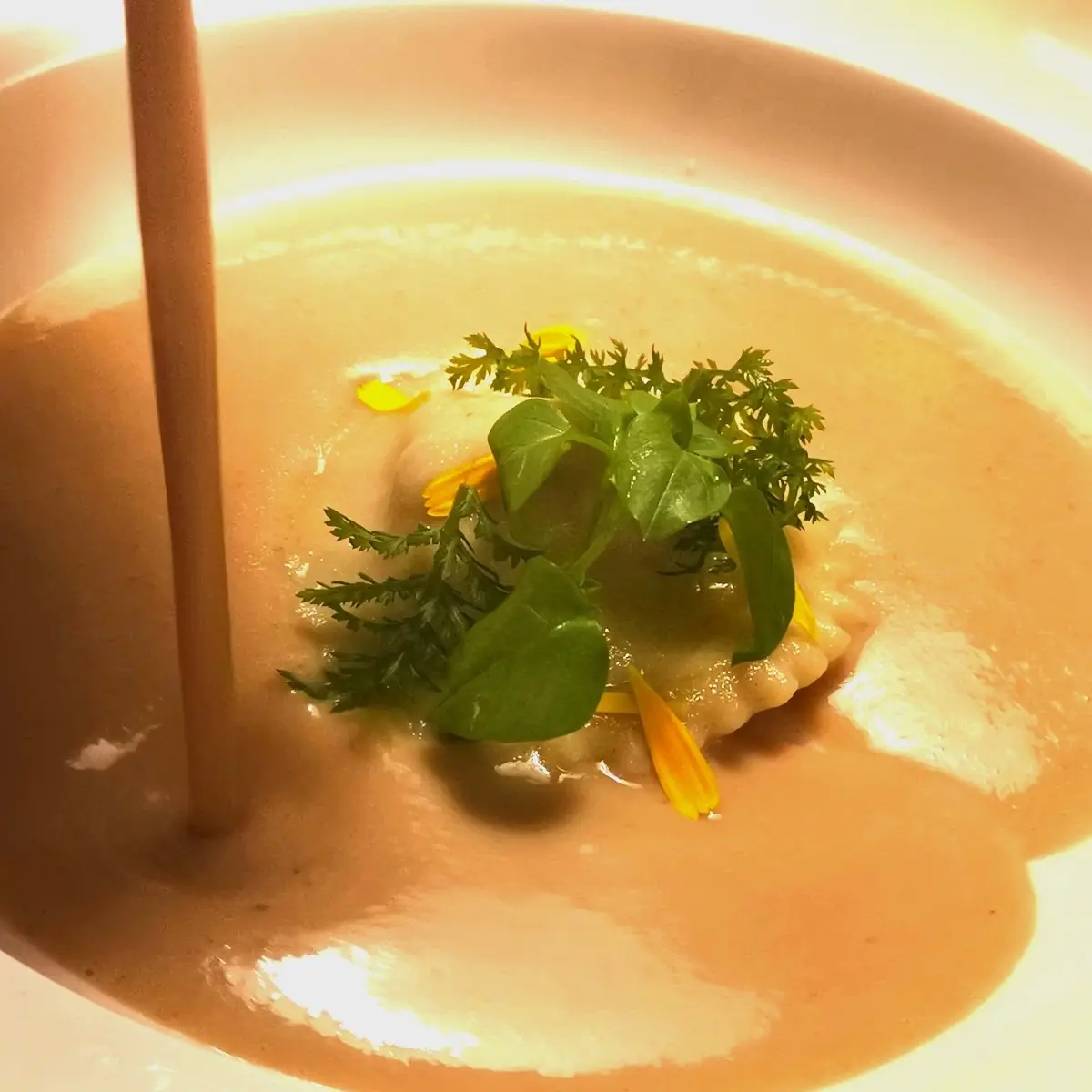 Die Suppe