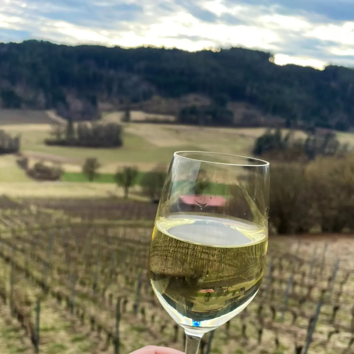 Weißer Spritzer