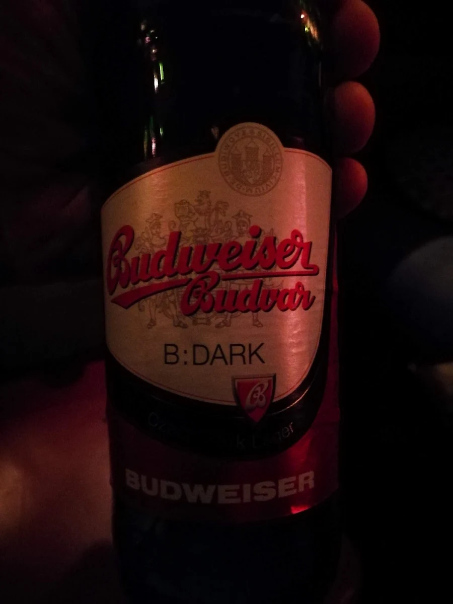 Dunkles Bier