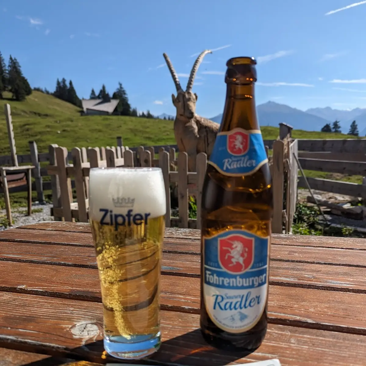Radler Sauer