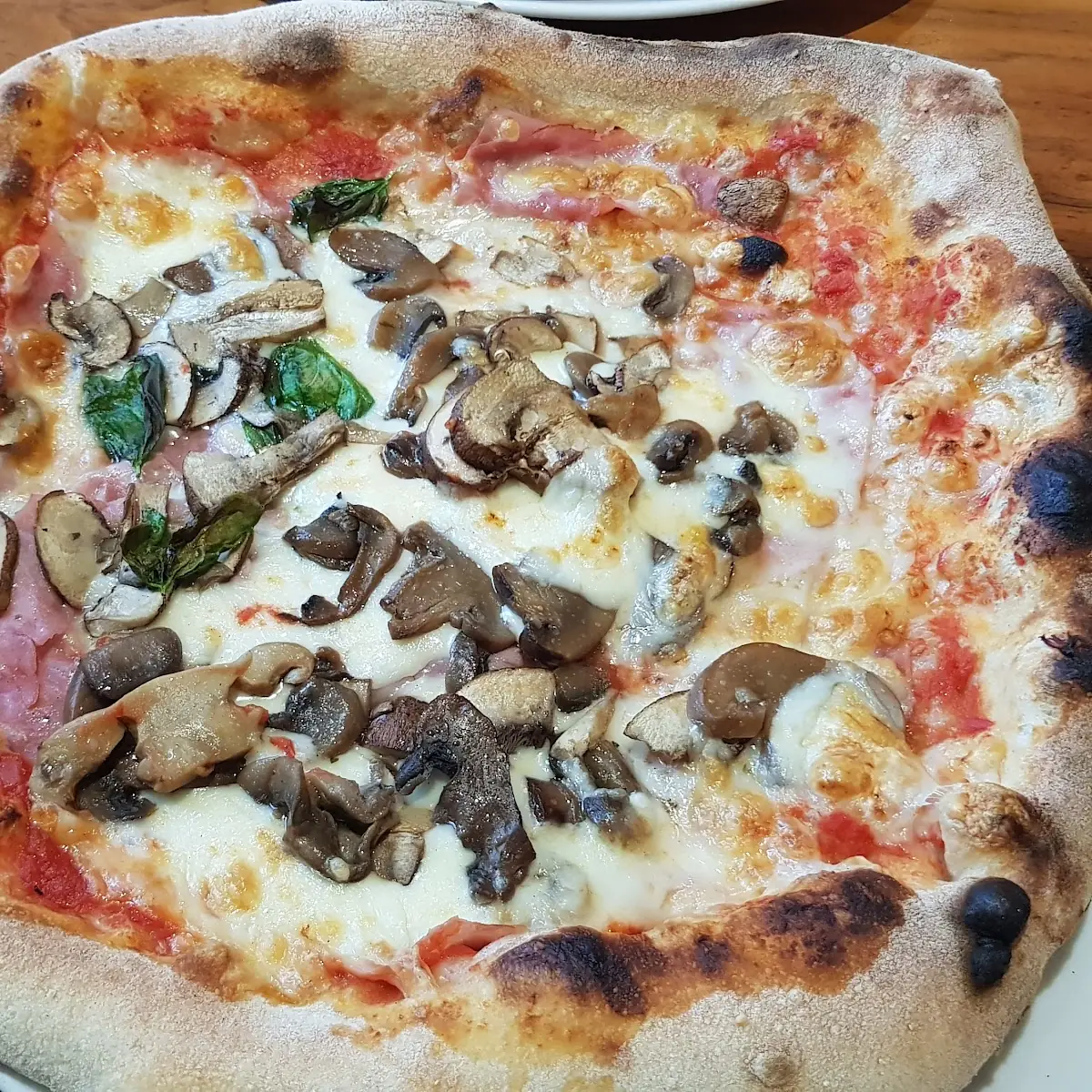 Pizza Funghi