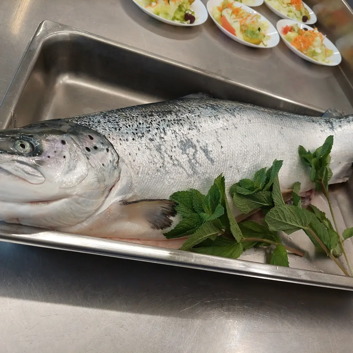 Frischer Lachs