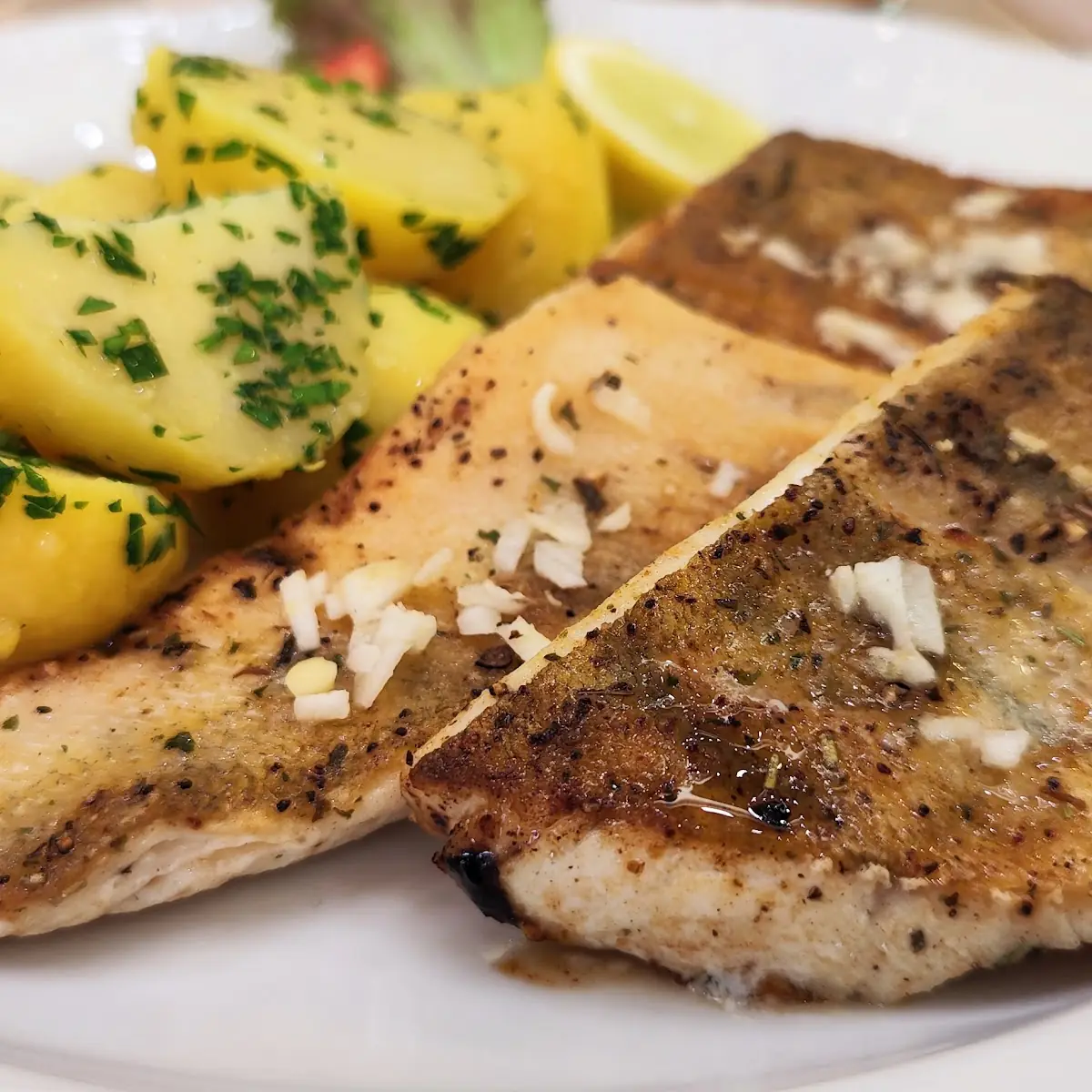 Gegrillter Zander