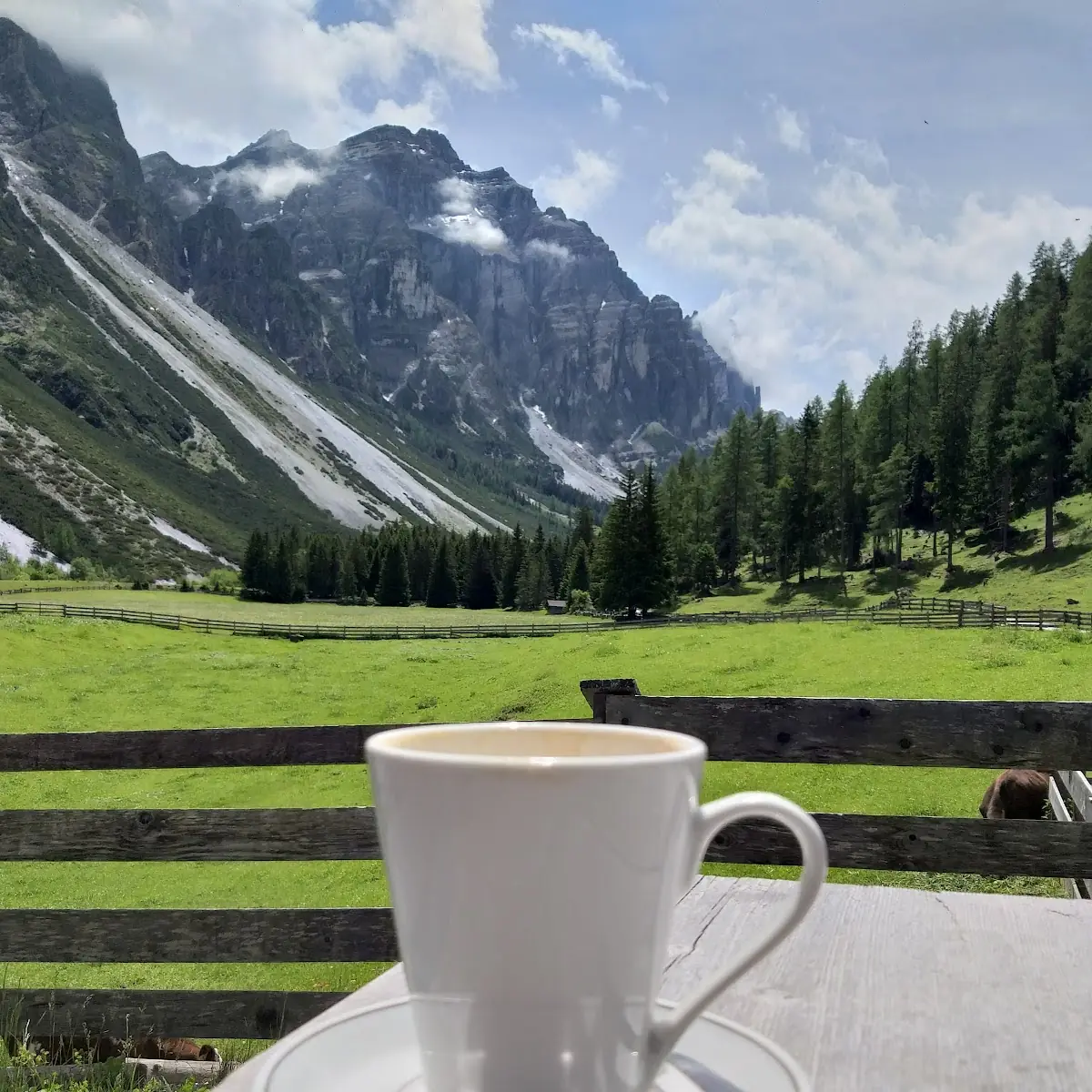 Tasse Kaffee