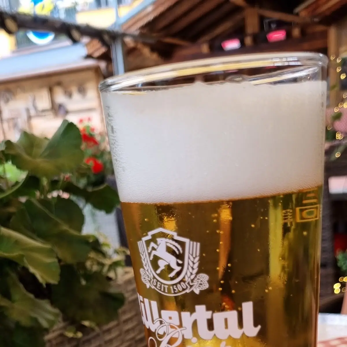 Bier