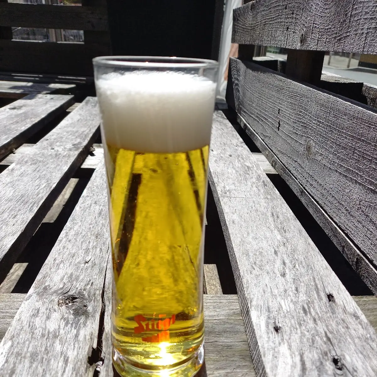 Bier