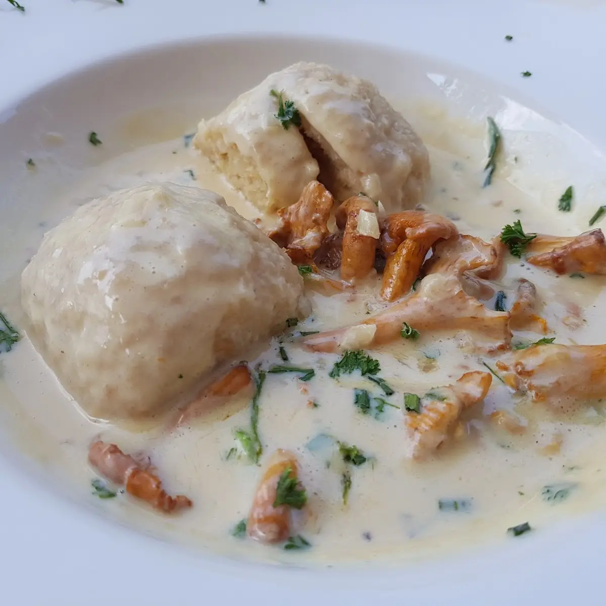 Eierschwammerl Mit Knödel