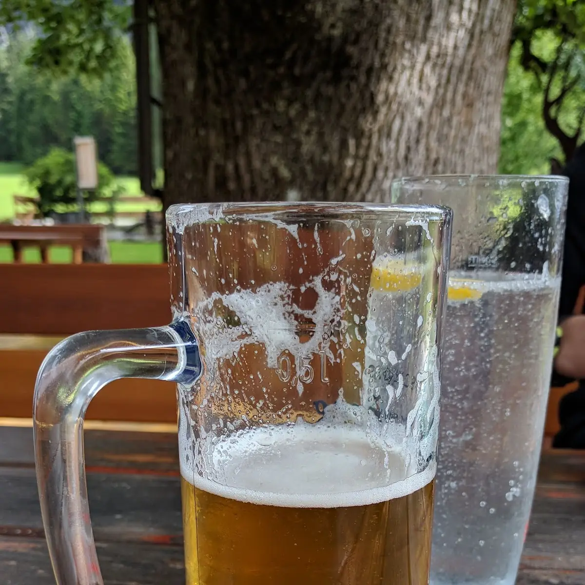 Bier