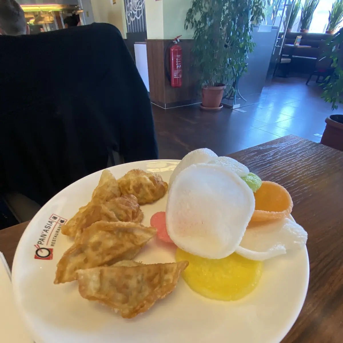 Gyoza
