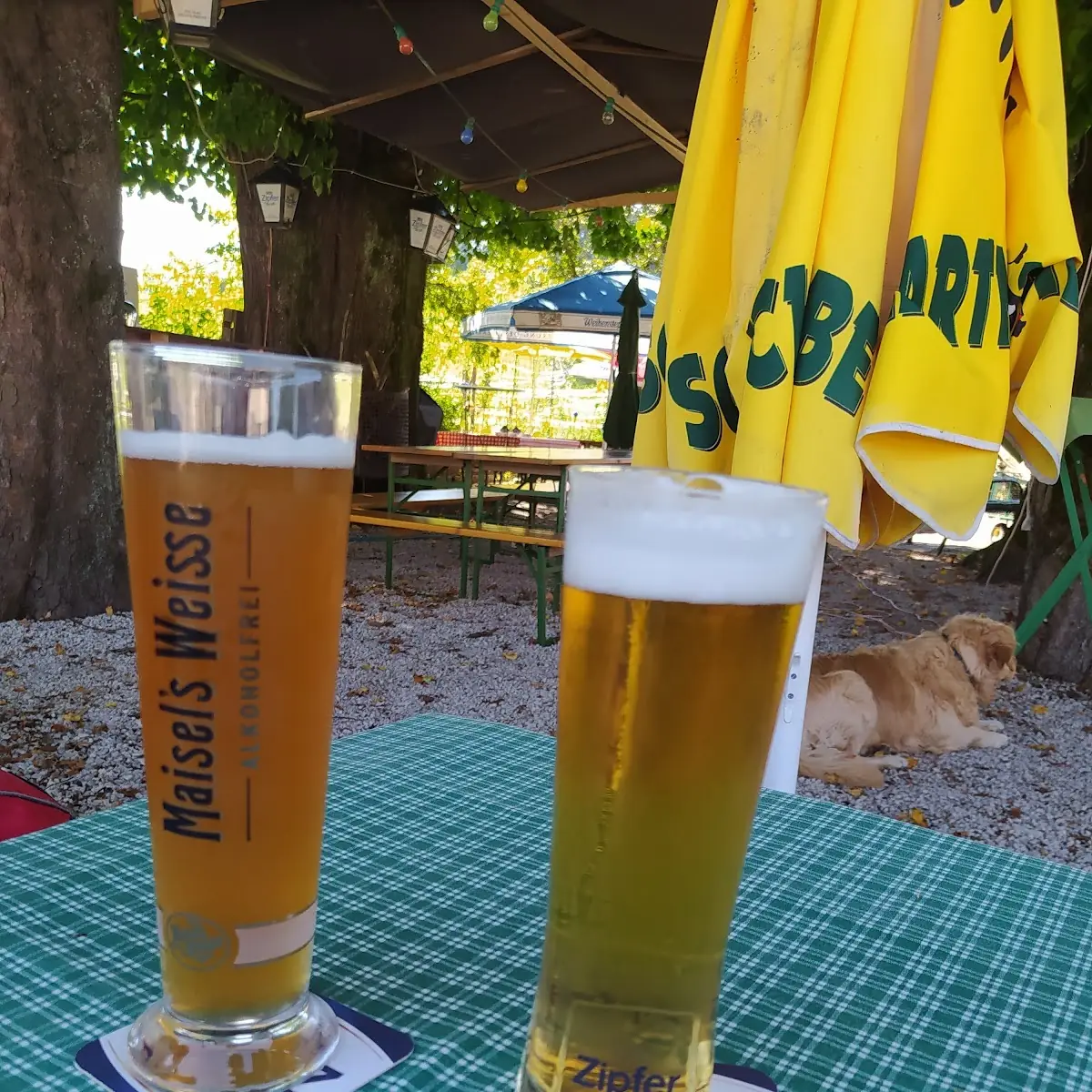 Kühles Blondes