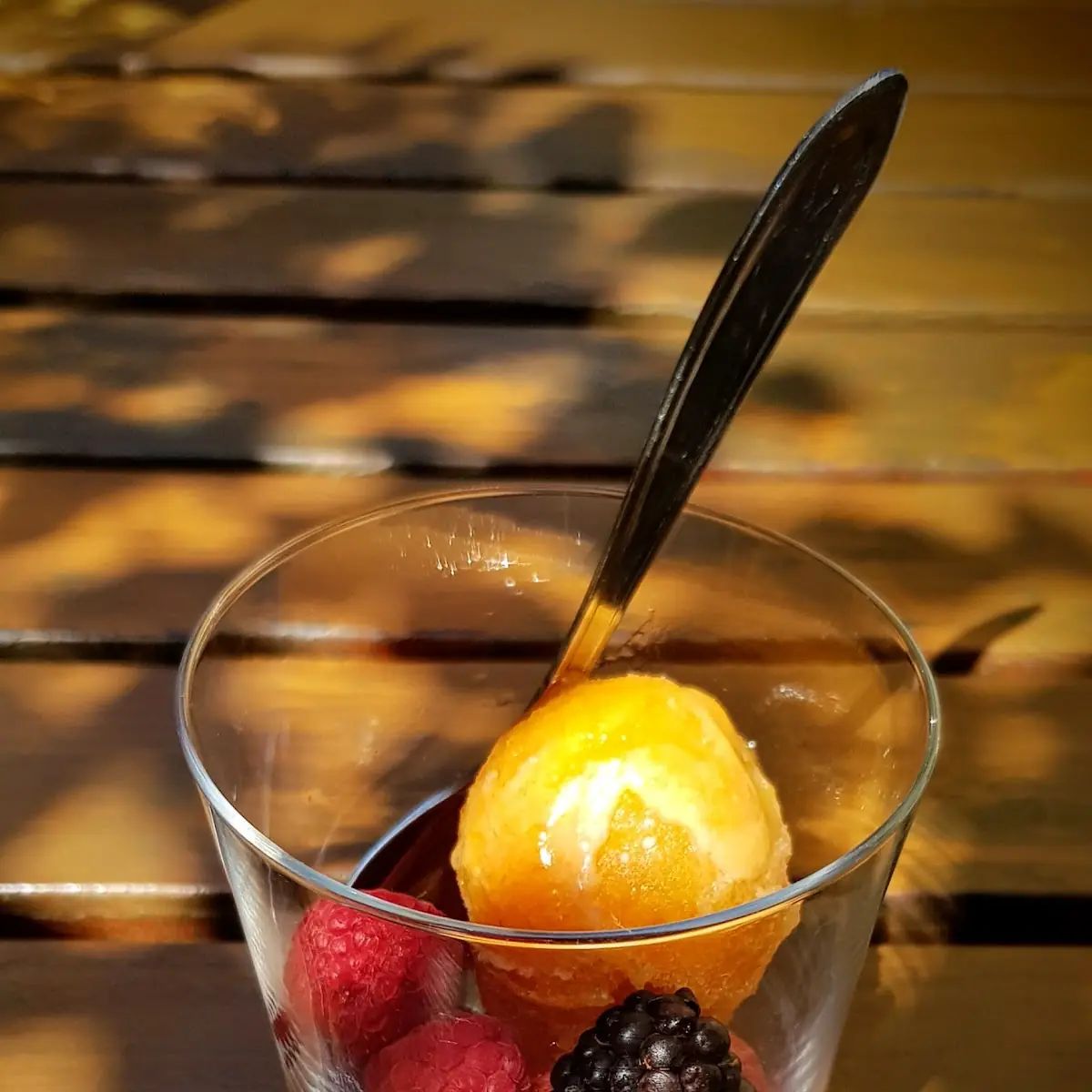 Sorbets