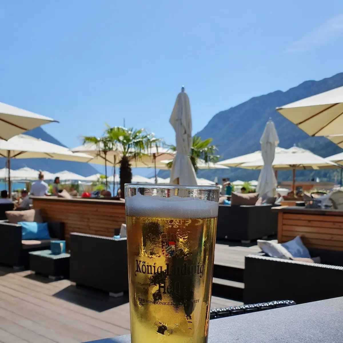 Bier