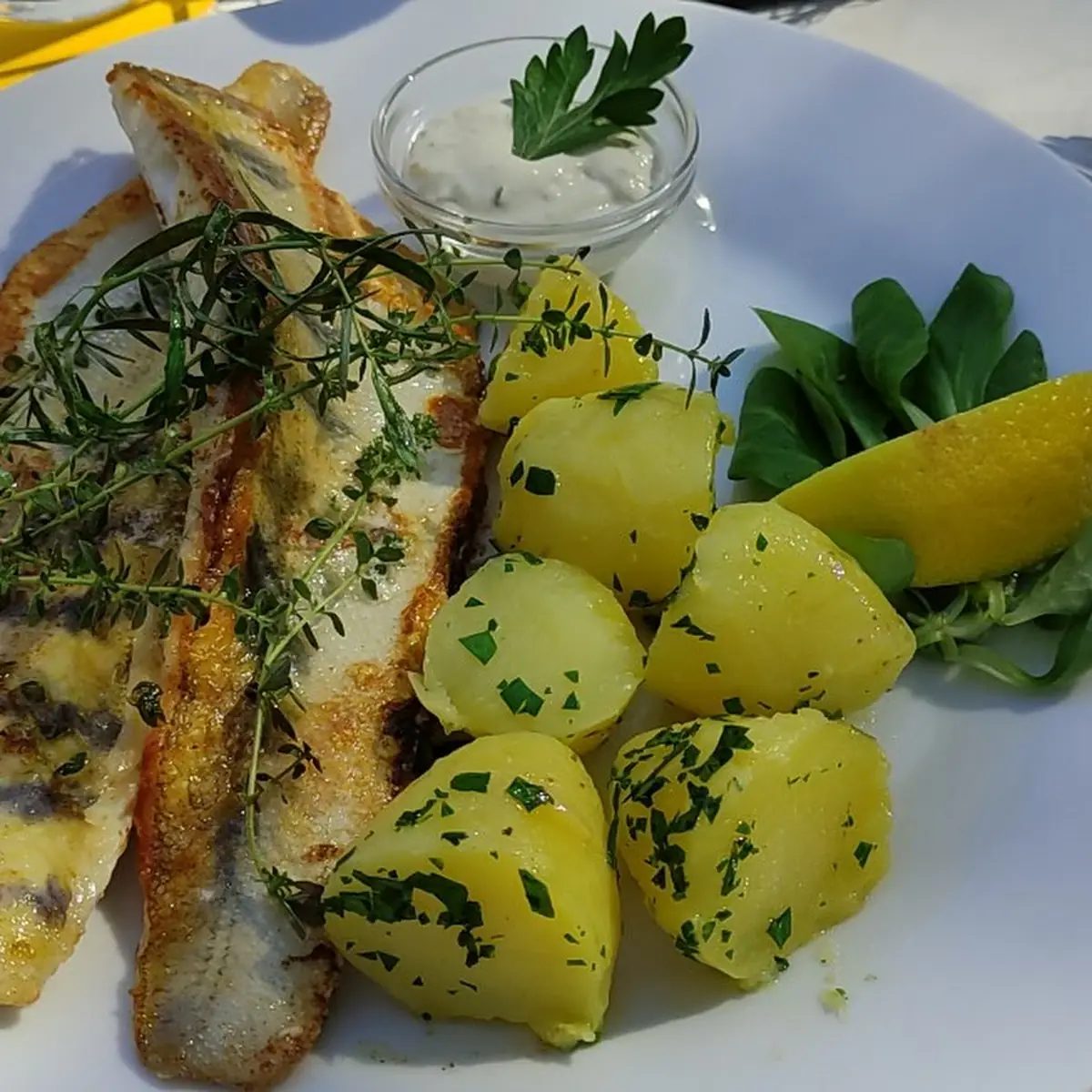 Petersilie Kartoffeln