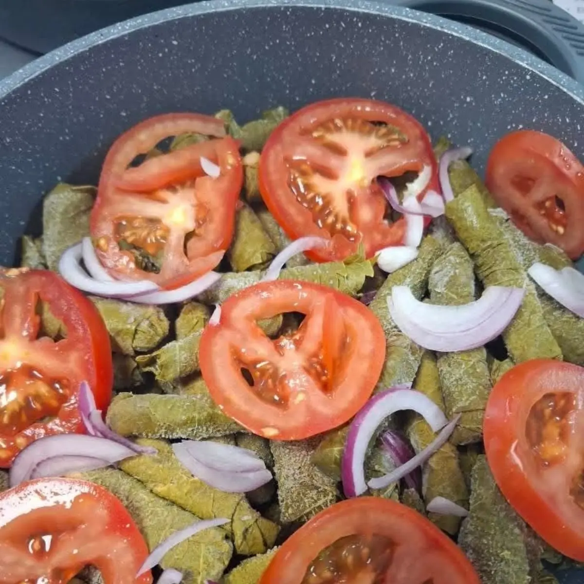 Sarma Wein Blätter Mit Reis Und Faschiertes Gefüllt