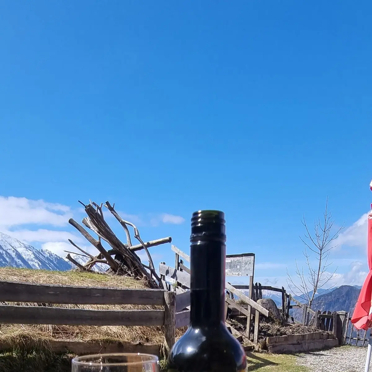 Rotwein