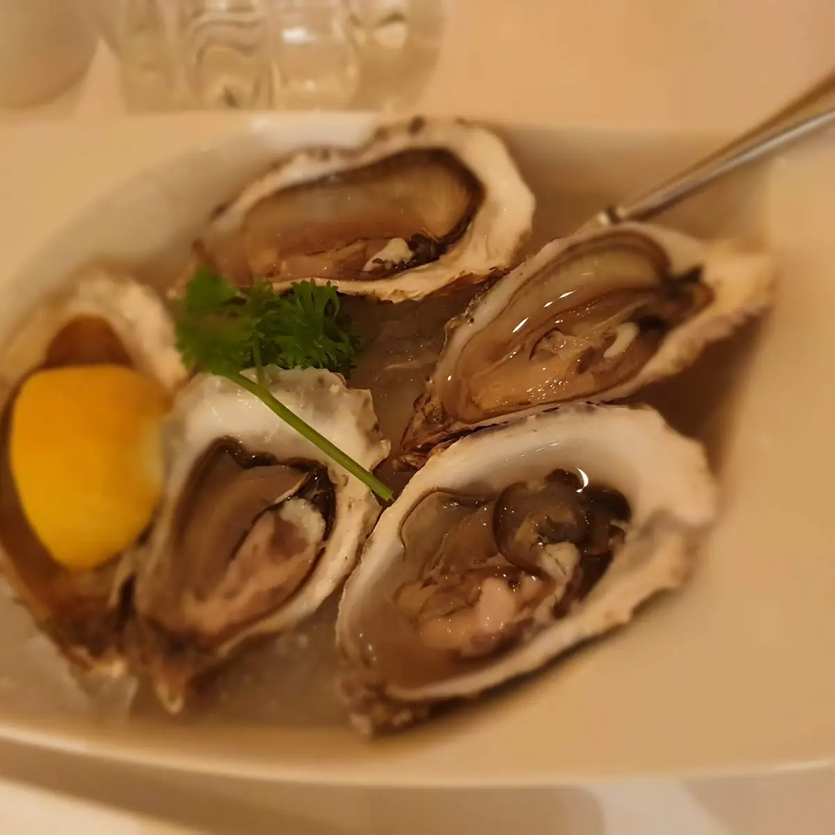 Vorspeise Muscheln