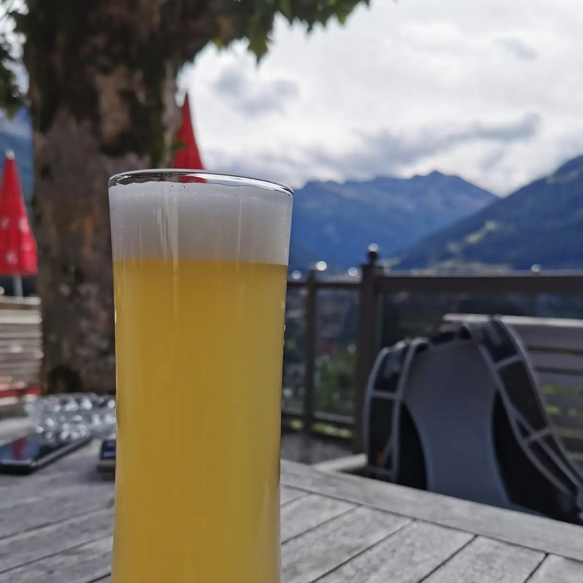 Bier