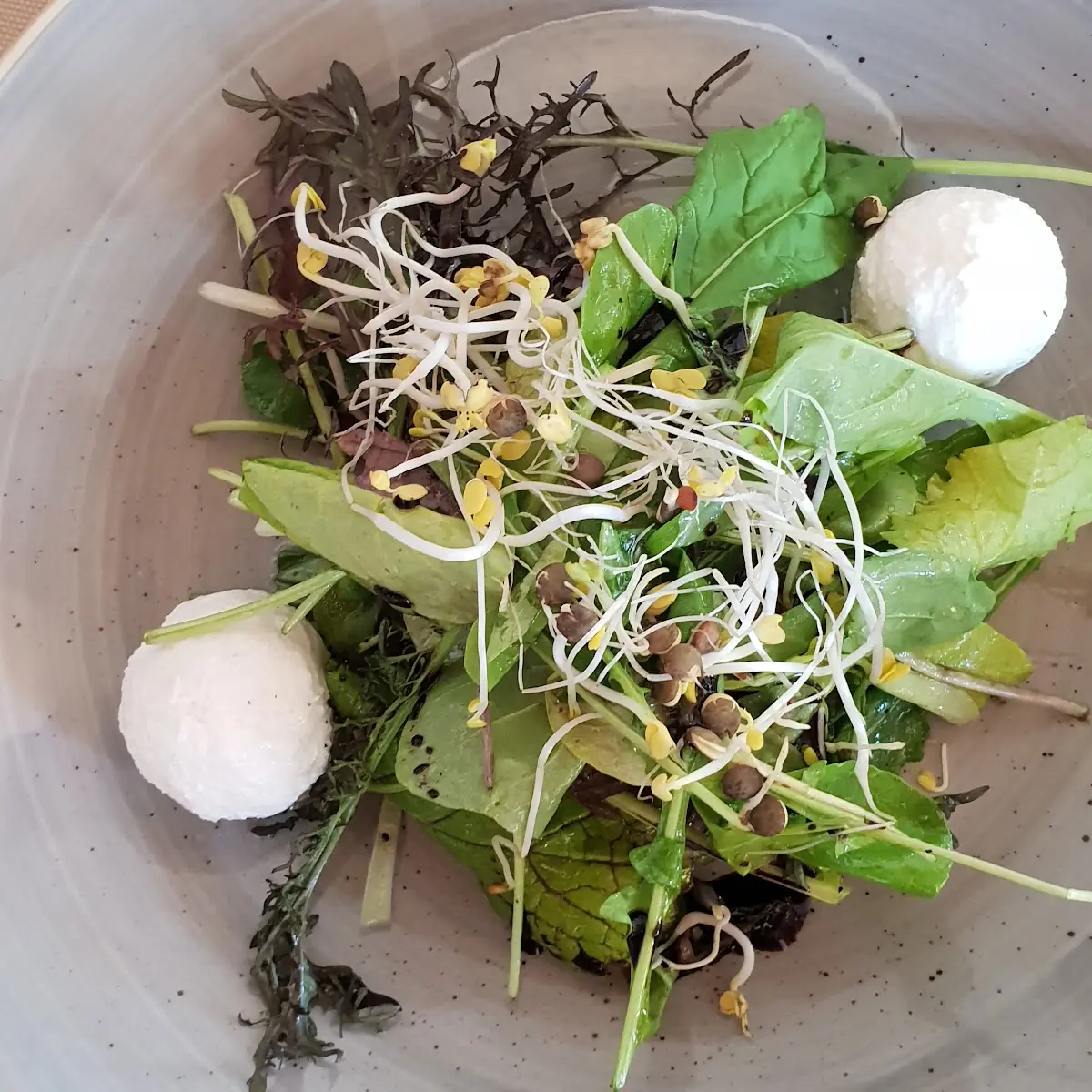 Ziegenfrischkäse Mit Salat