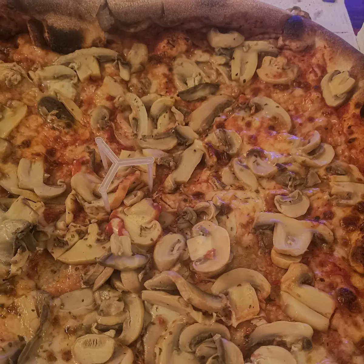 Pizza Al Funghi