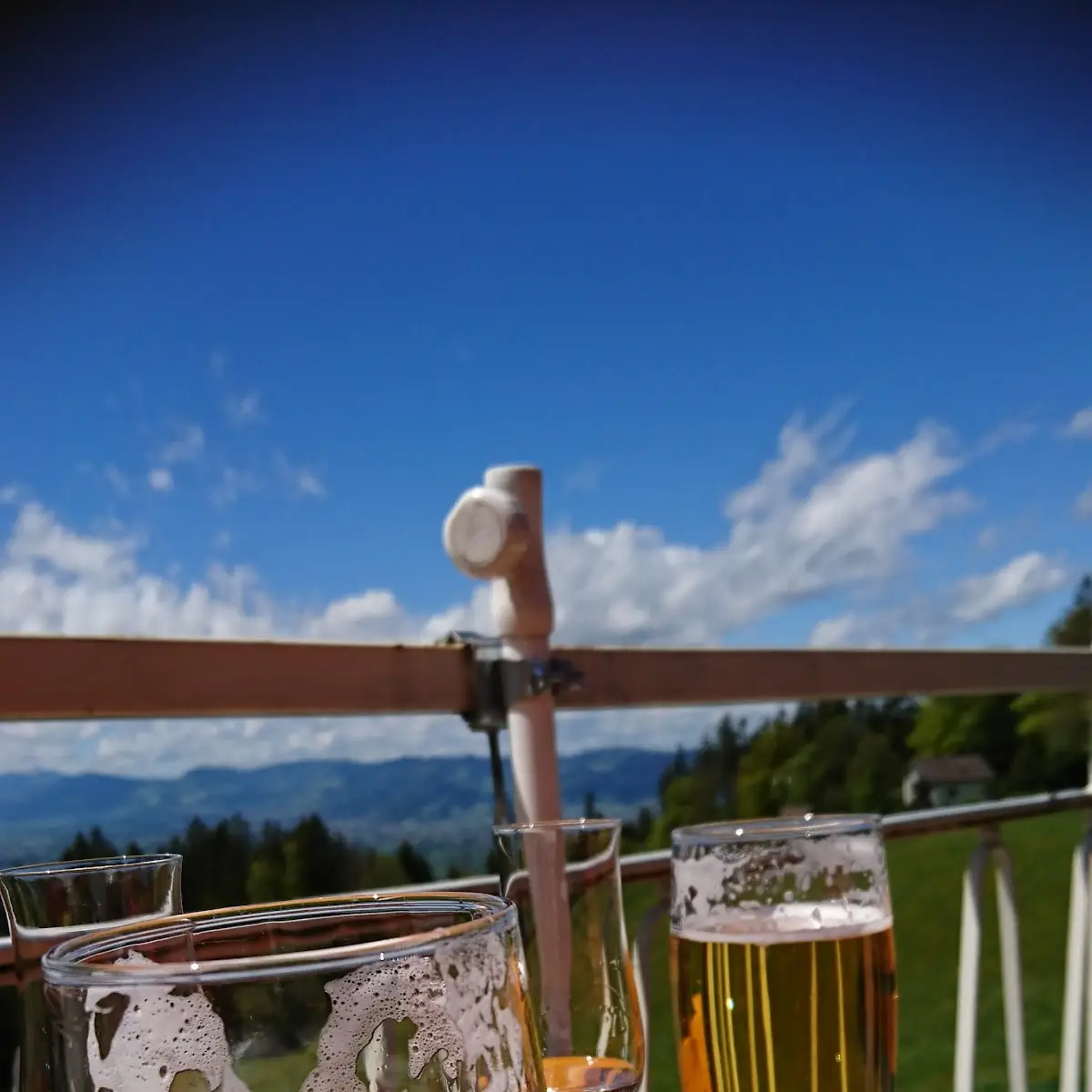 Bier