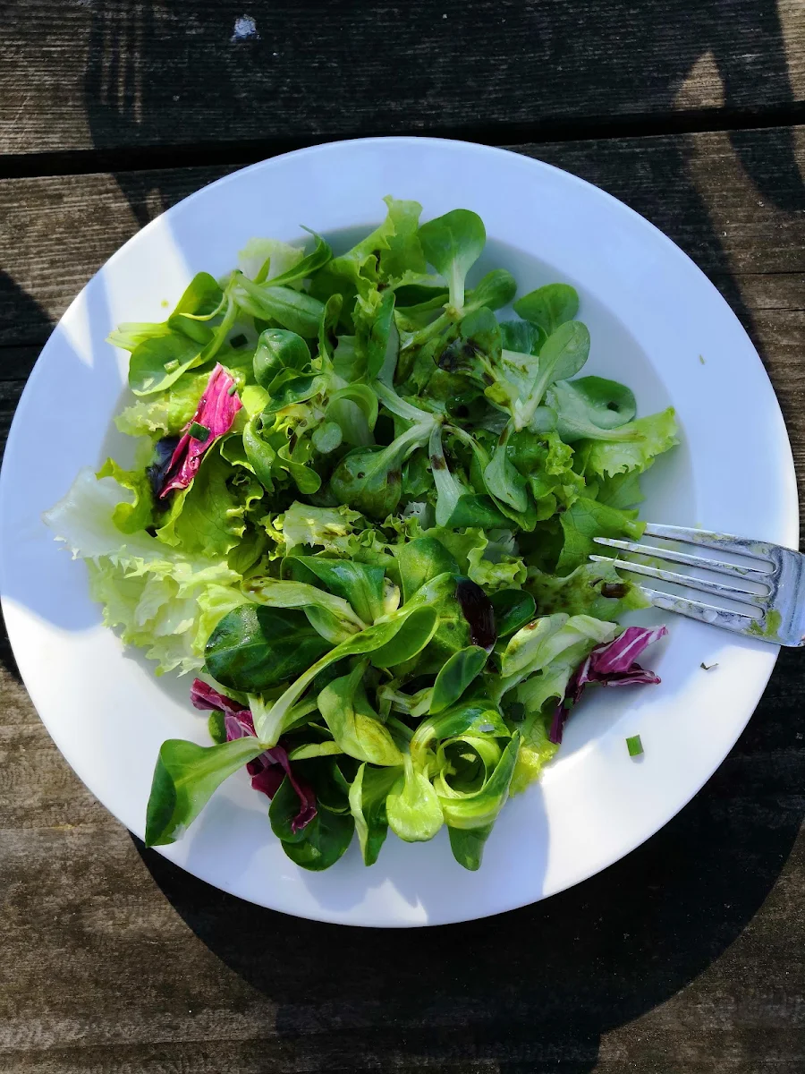 Green Salad