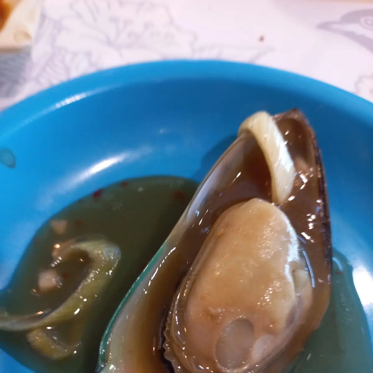 Greenshellmuscheln