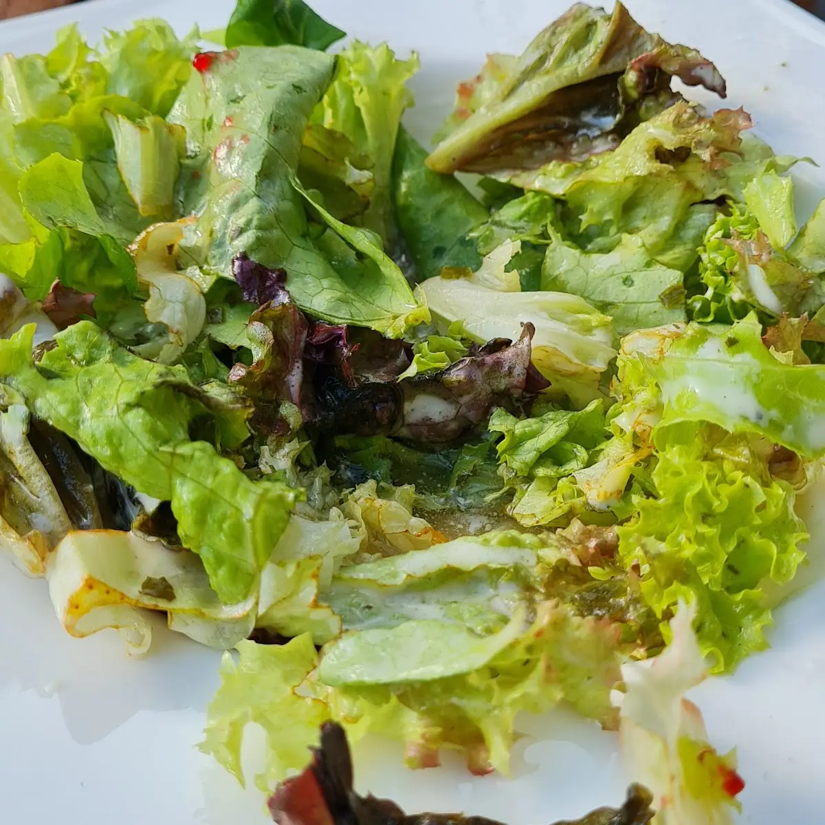 Salat
