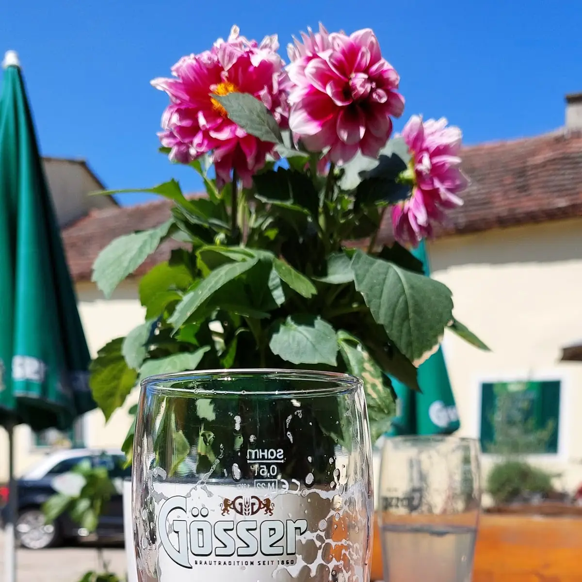 Bier
