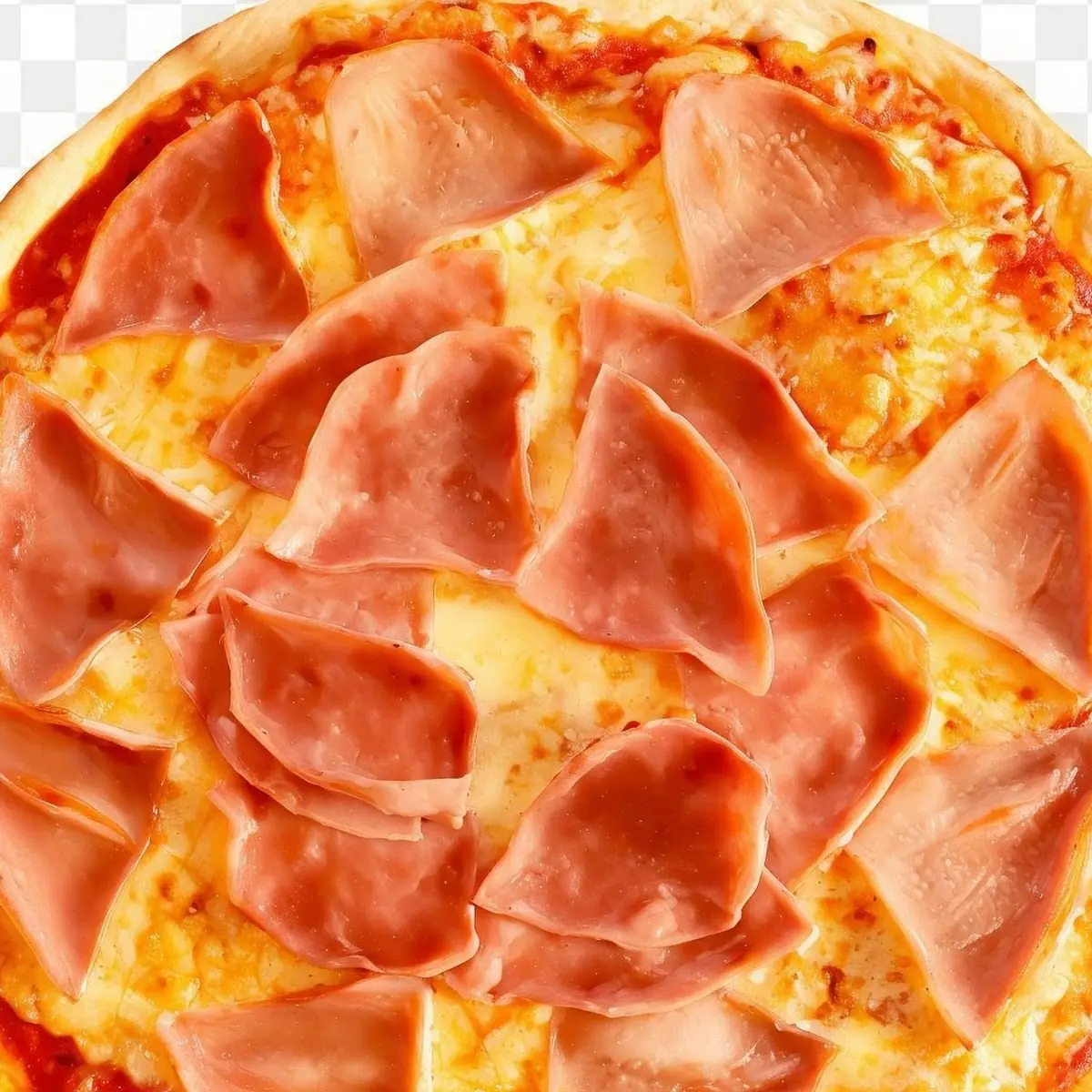 Highlight 4