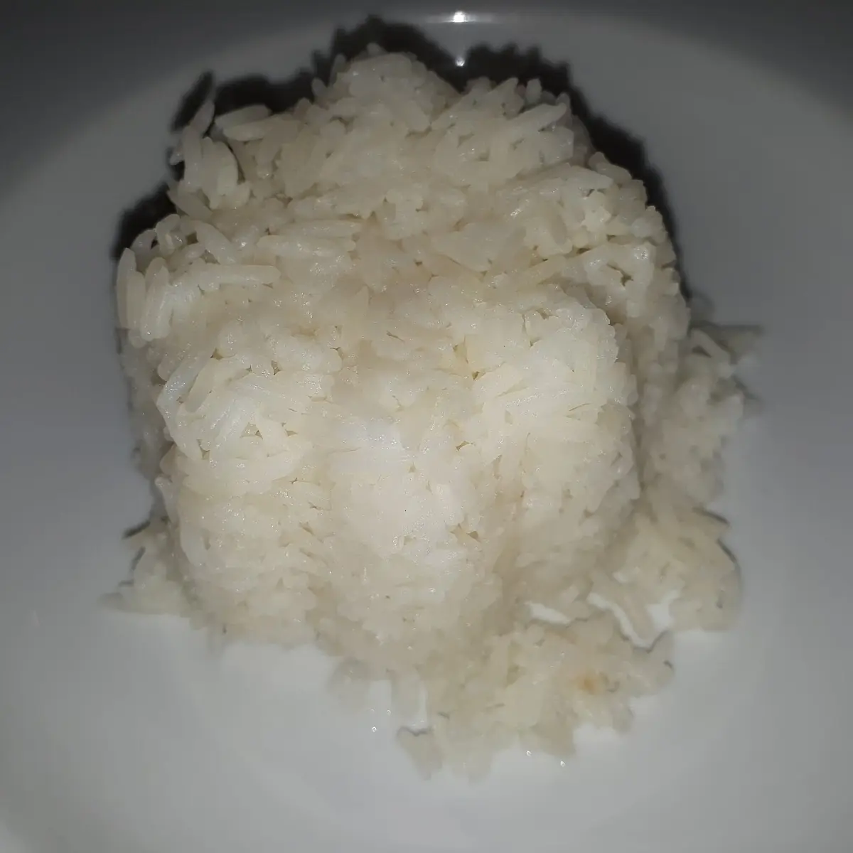 G13a Portion Reis