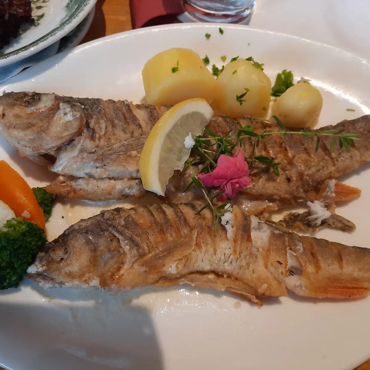 Donaufisch