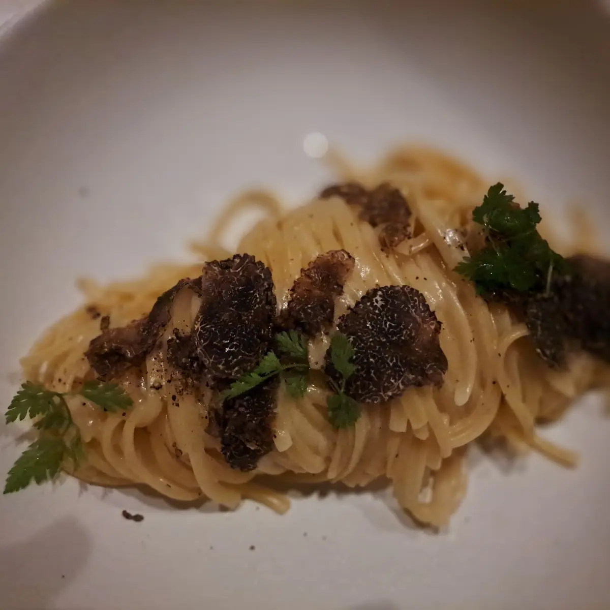 Trüffel-spaghetti