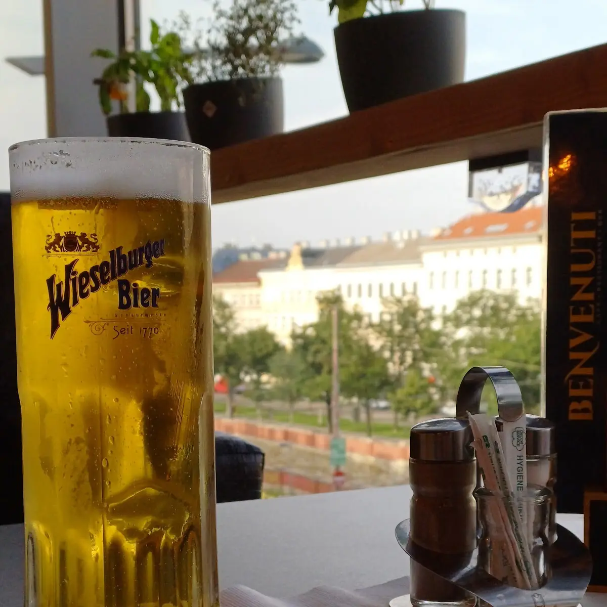 Bier