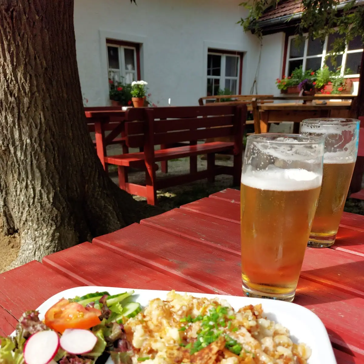Eiernockerl Mit Salat