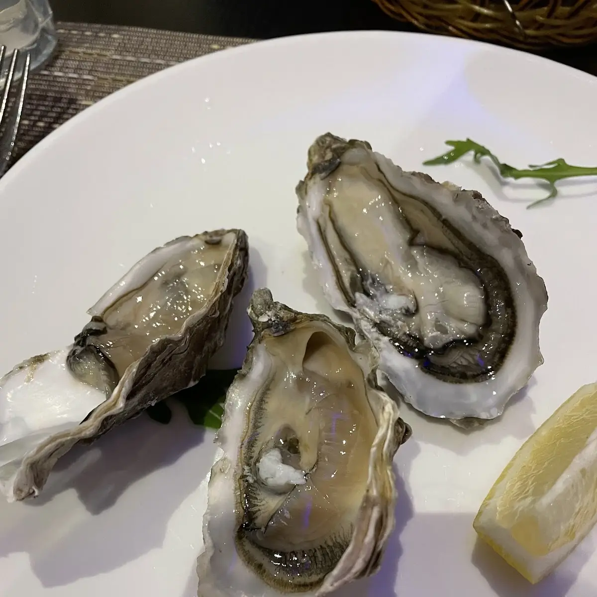 Oysters