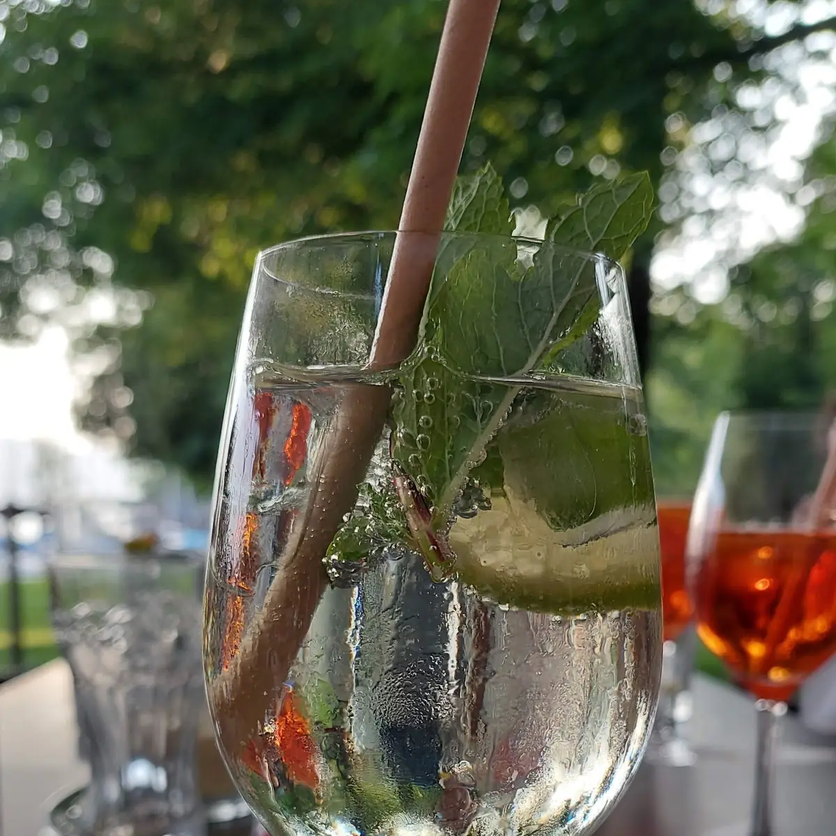 Hugo Ein Köstlicher Spritzer Mit Holunder