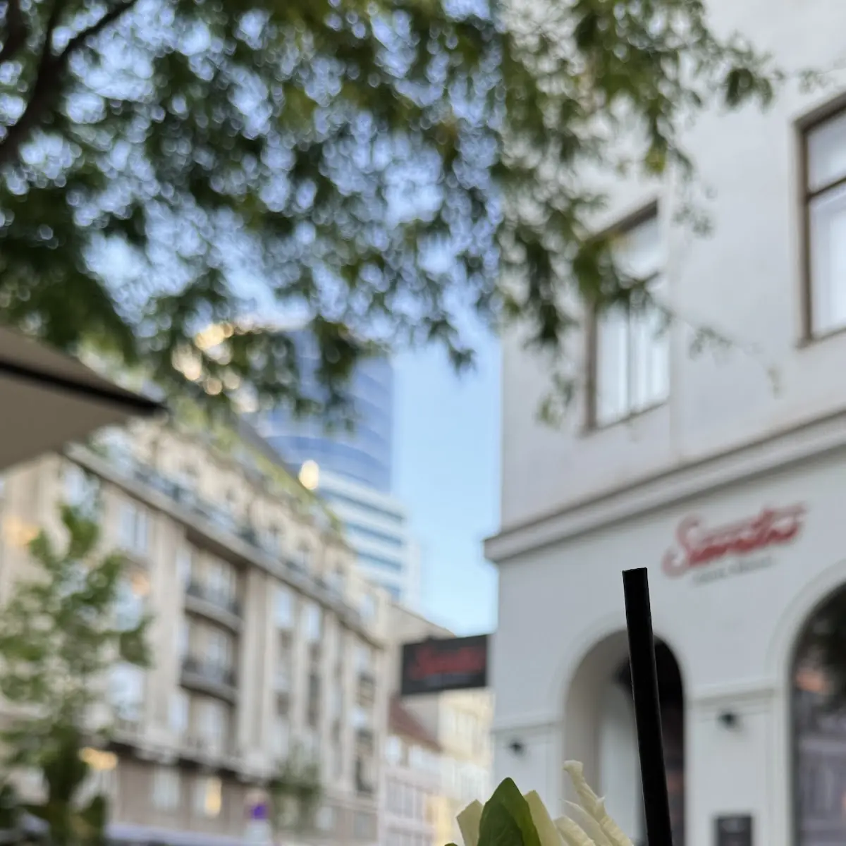 Daiquiri