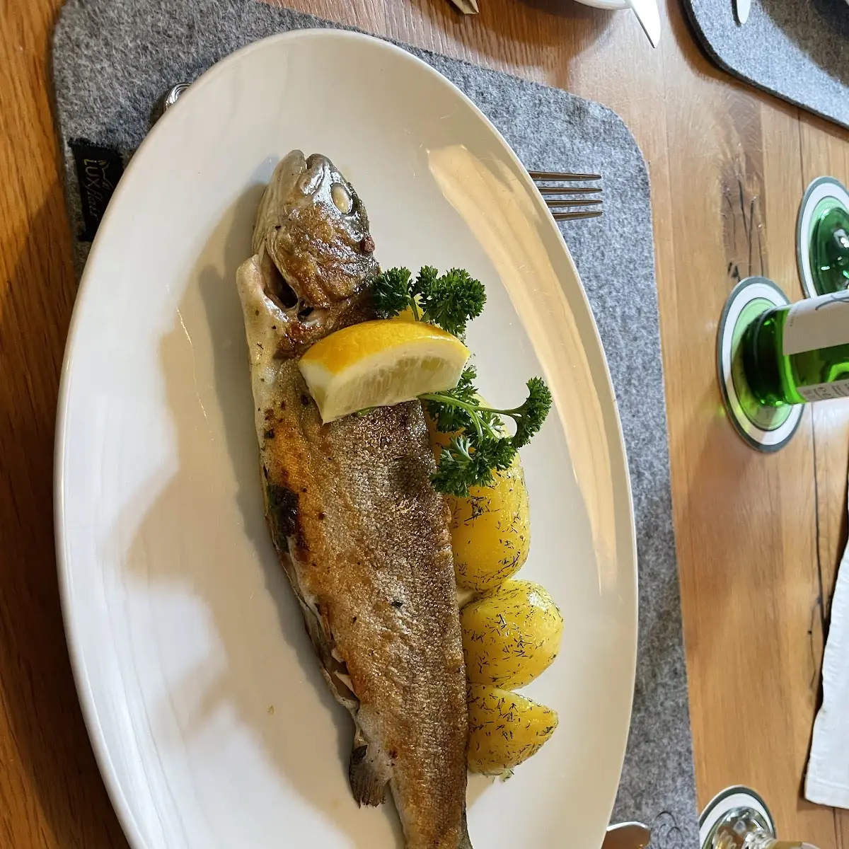 Fried Trout