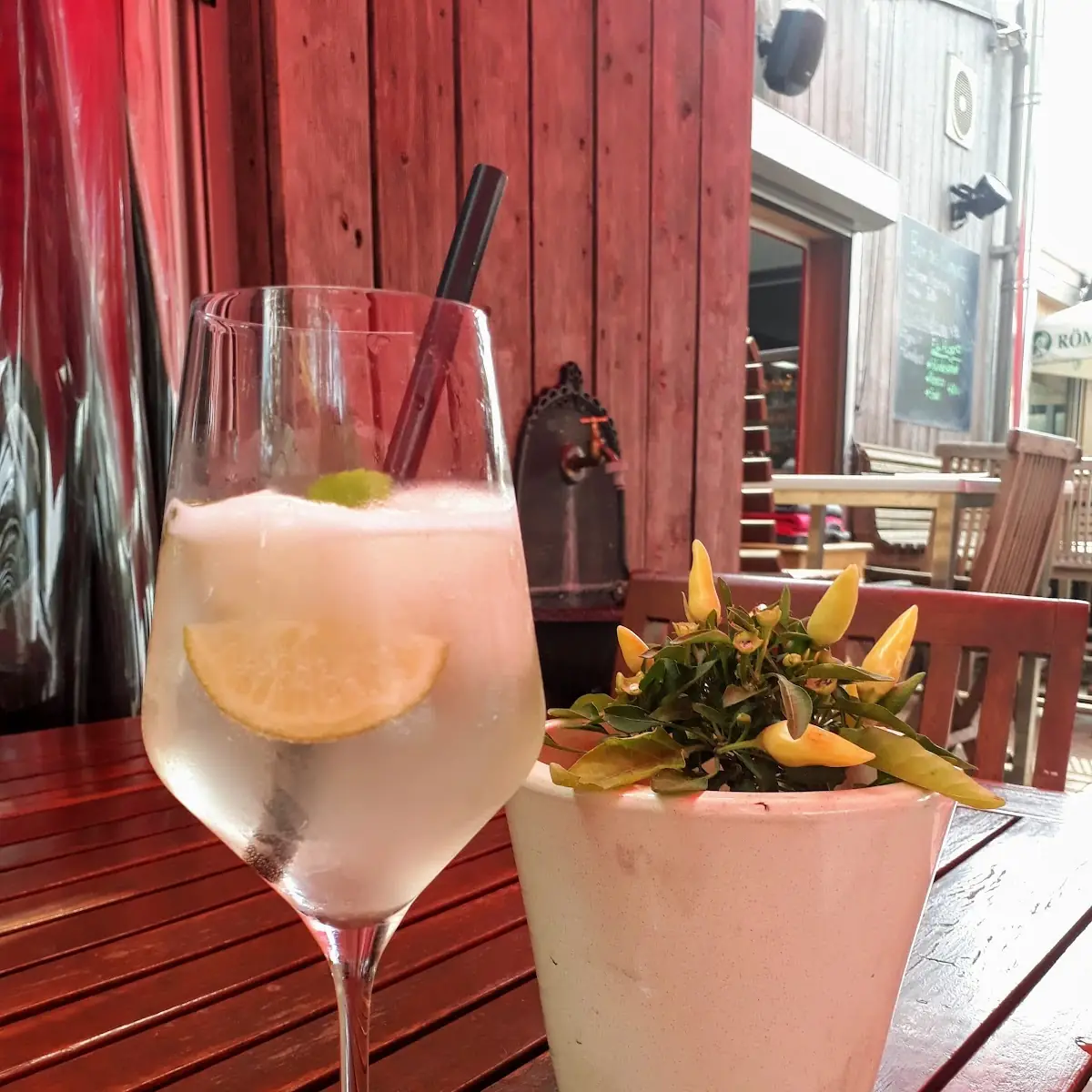 Hugo Spritzer