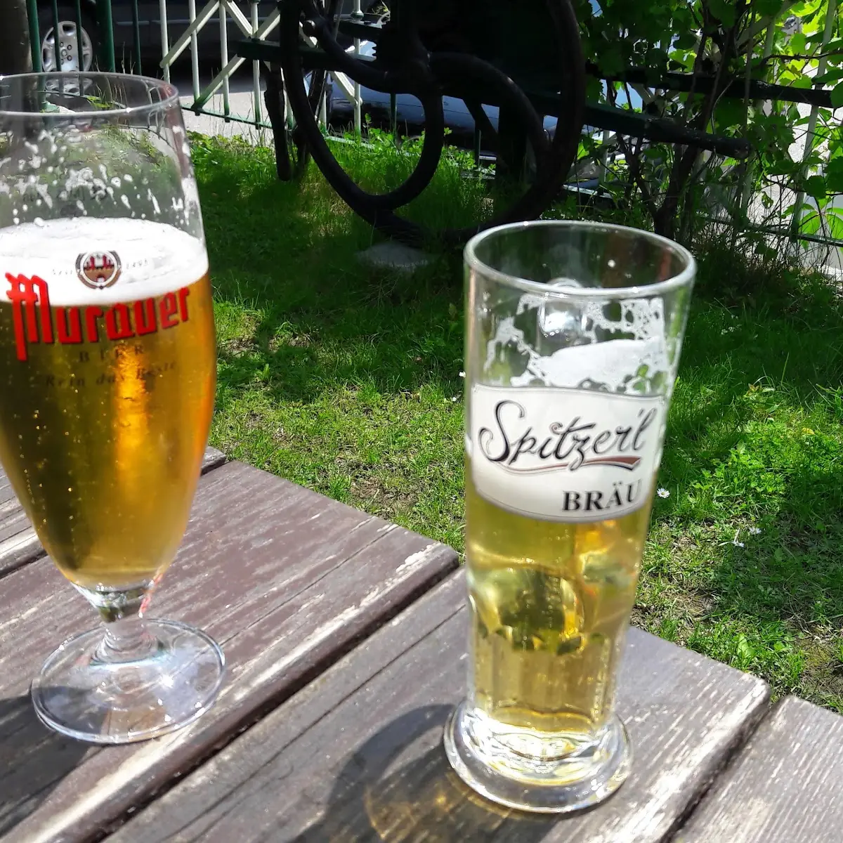 Bier Pils