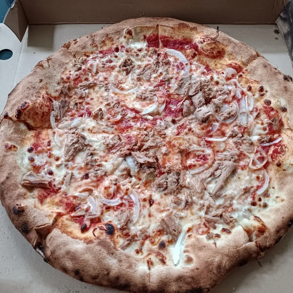 Thunfisch Pizza
