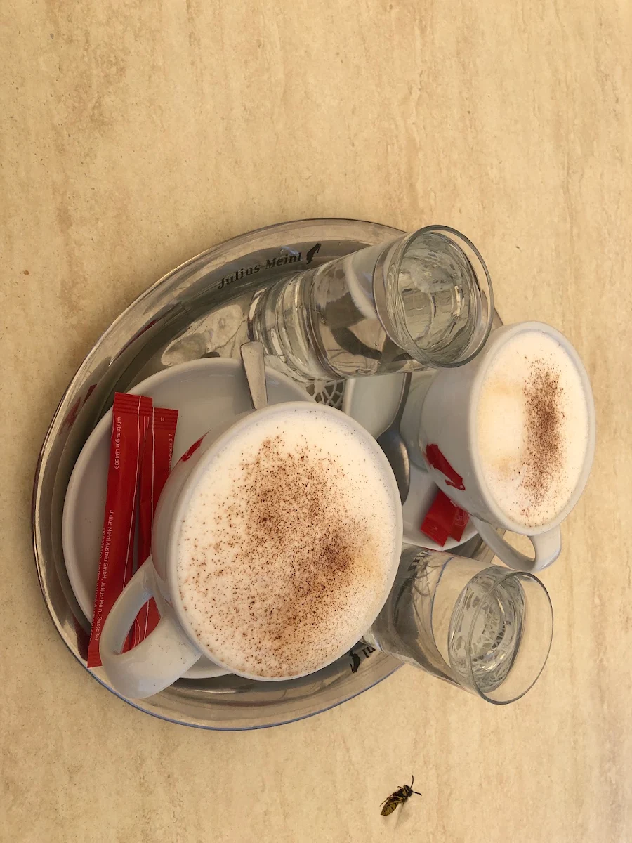 Capucino