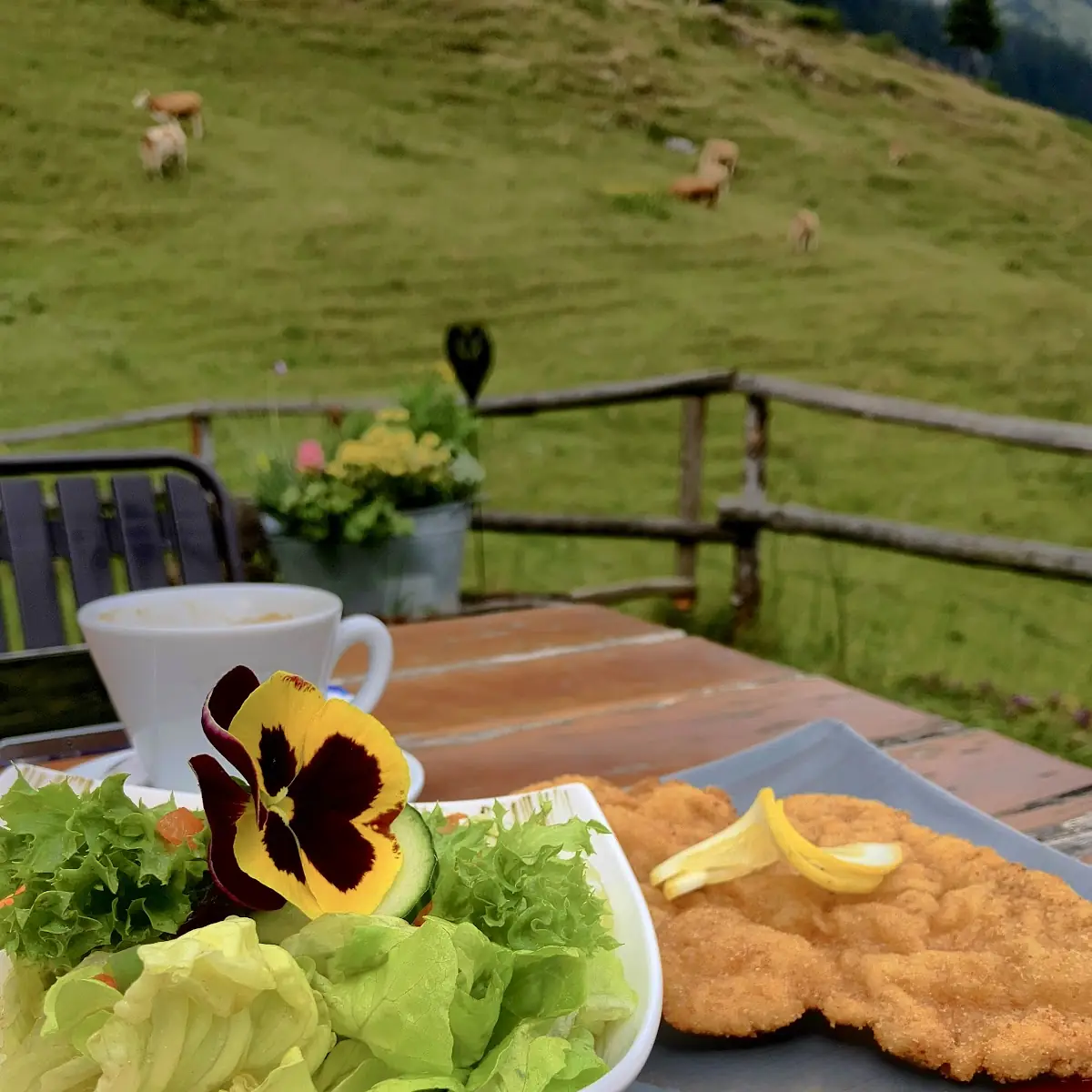 Ein Schnitzel Mit Salat
