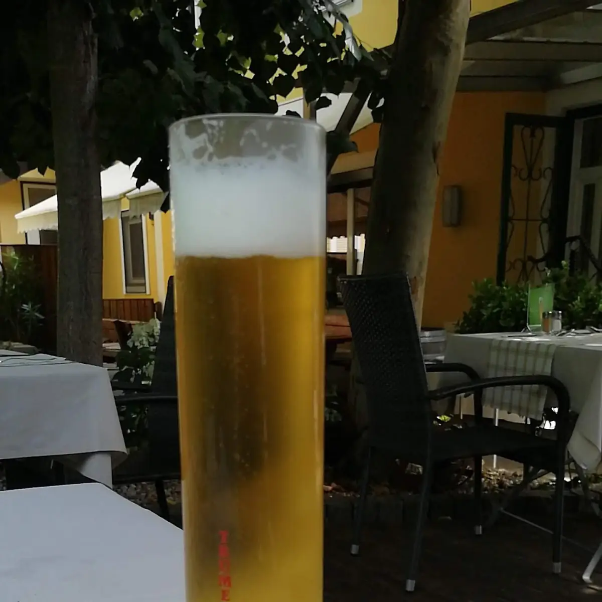 Bier