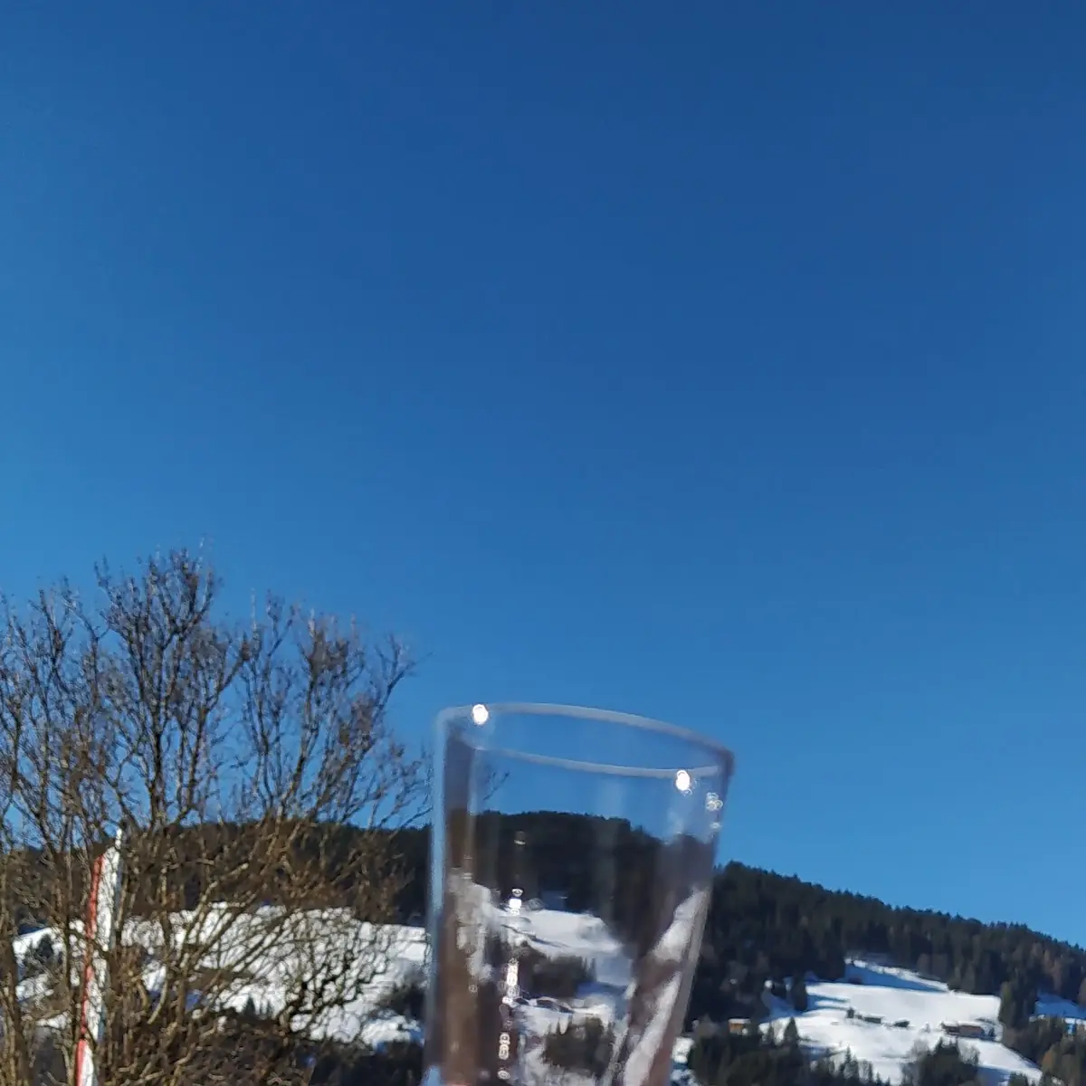 Johannisbeerlikör