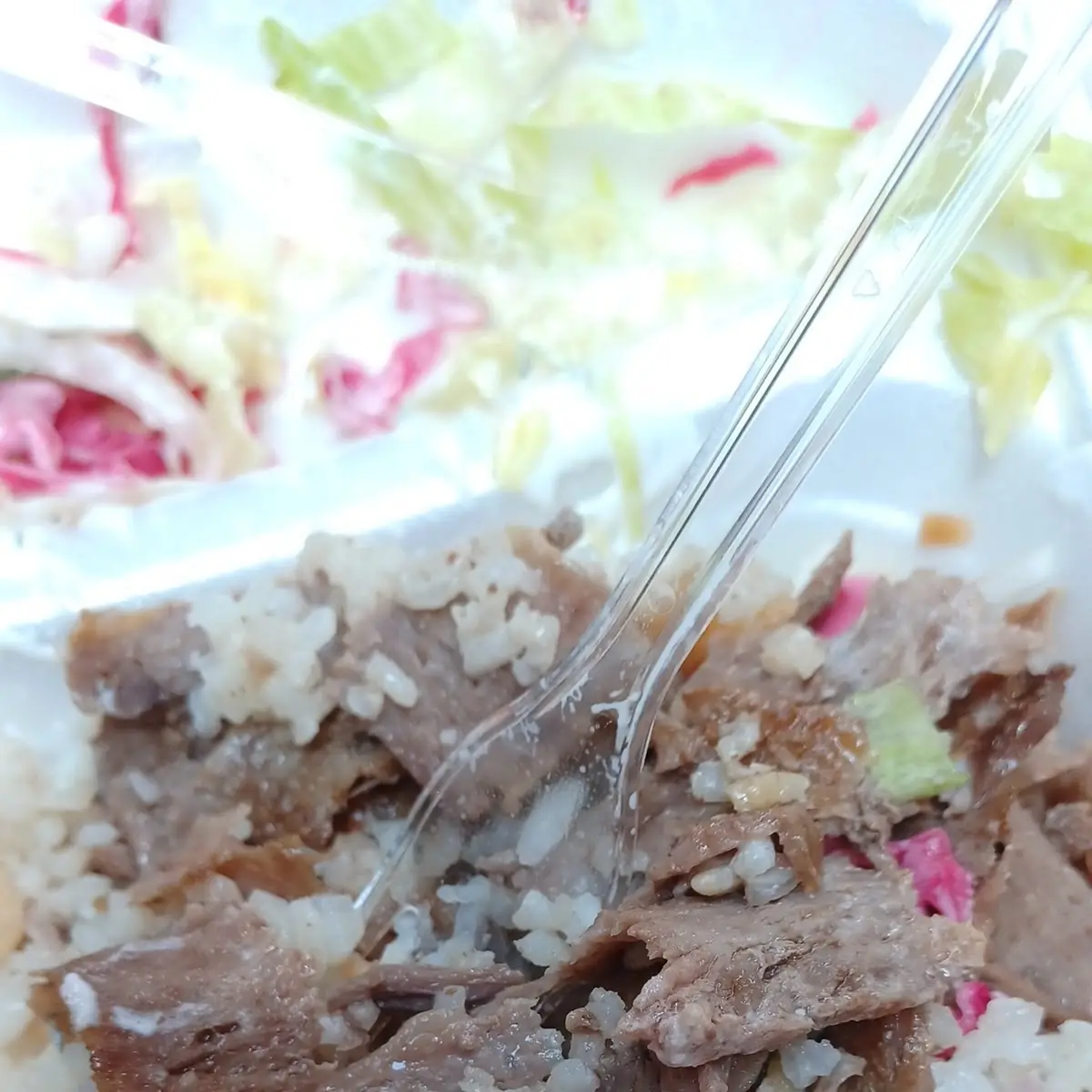 Kebab Reis